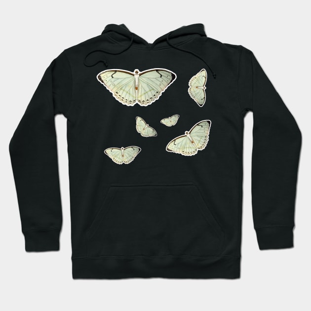 colorful butterfly cute butterfly Hoodie by Get Yours